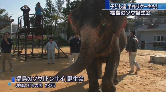 福島のゾウ・トンサイ誕生会