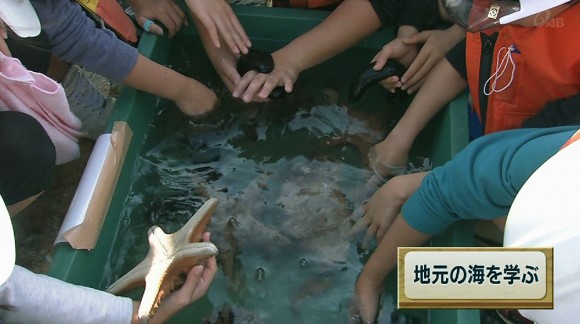 小学生が地元の海を学ぶ