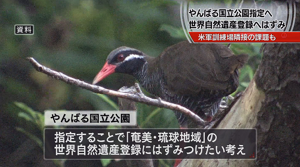 やんばる国立公園 夏にも正式決定へ