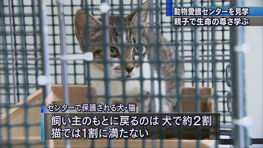 動物を飼う責任の重さを学ぶ