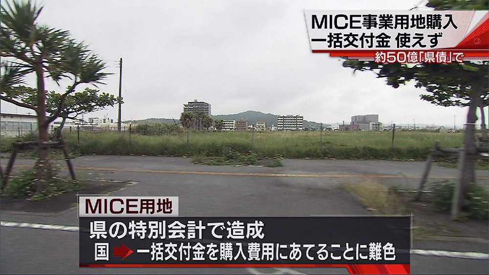 大型MICE用地購入費 一括交付金使えず