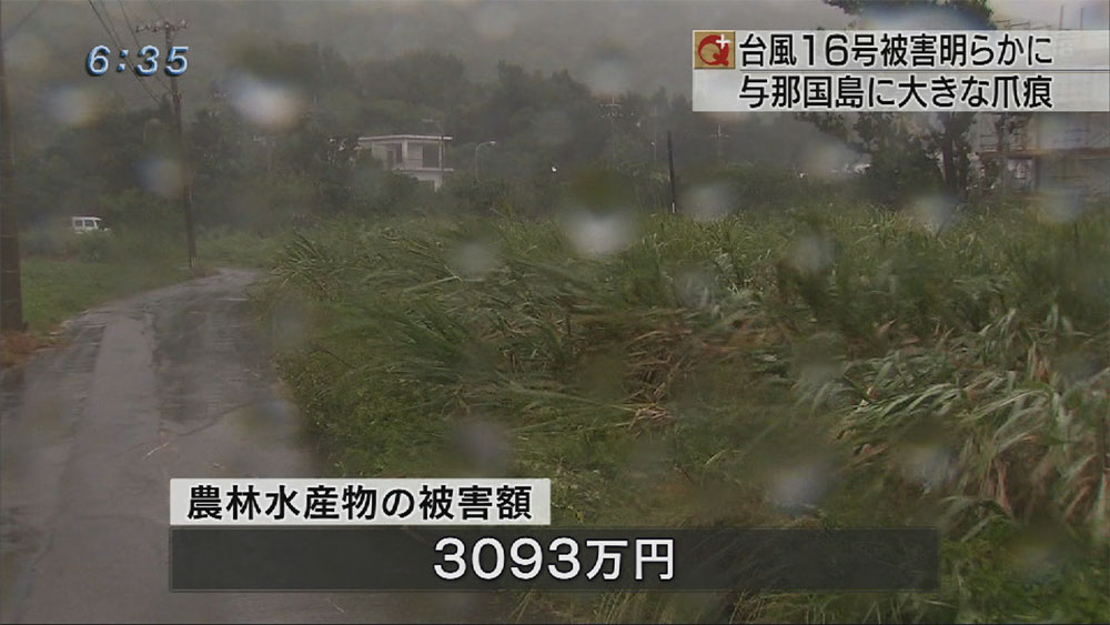 台風１６号被害まとめ