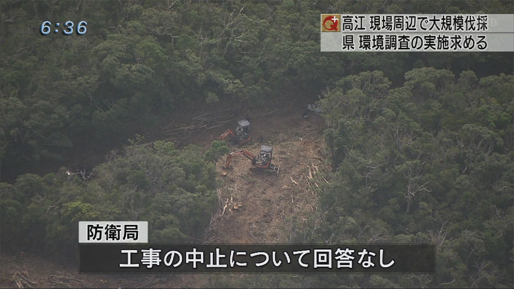 高江で大規模伐採　工事用道路造られる