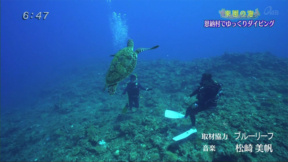 楽園の海 恩納村でゆっくりダイビング