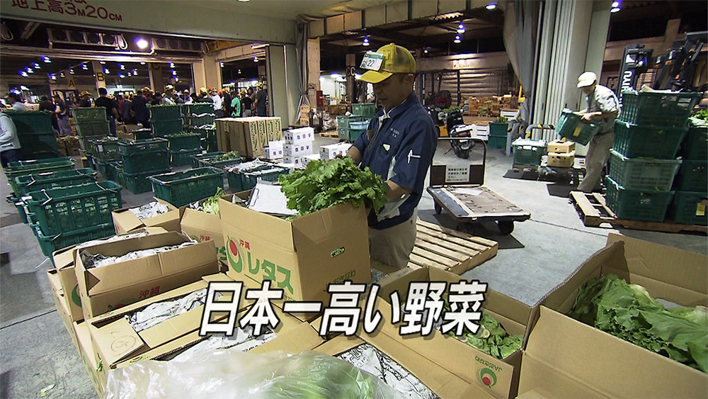 Q+リポート いつまで続く野菜高騰