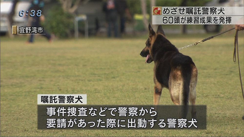 めざせ嘱託警察犬！