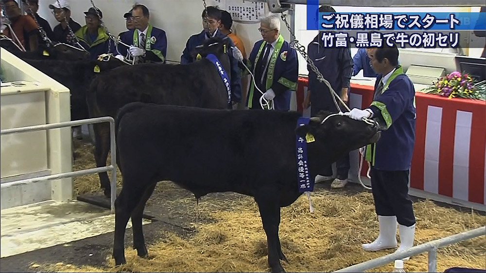 竹富町黒島で初セリ