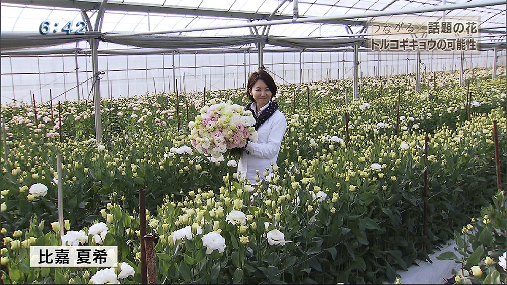 つながる × 話題の花 トルコギキョウの可能性