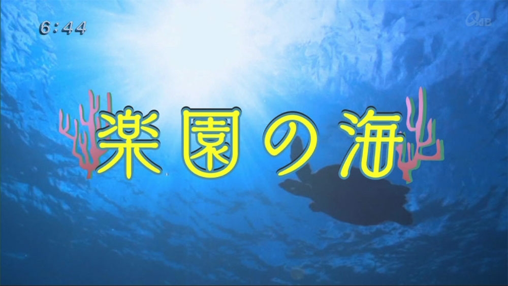 楽園の海　水底大好き!生き物特集