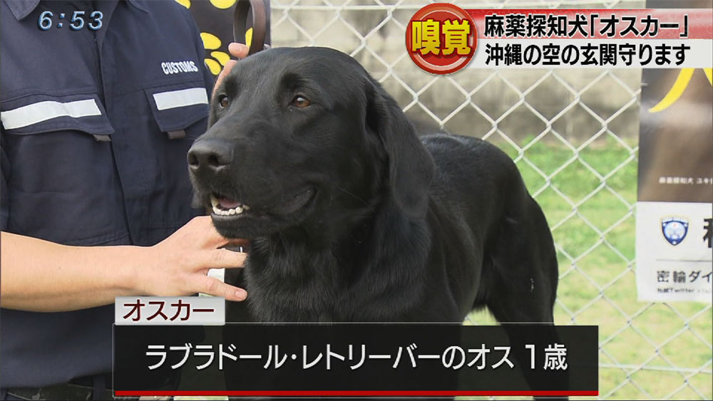 麻薬探知犬「オスカー」お披露目