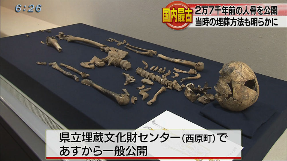 日本最古、２万７千年前の人骨が公開される