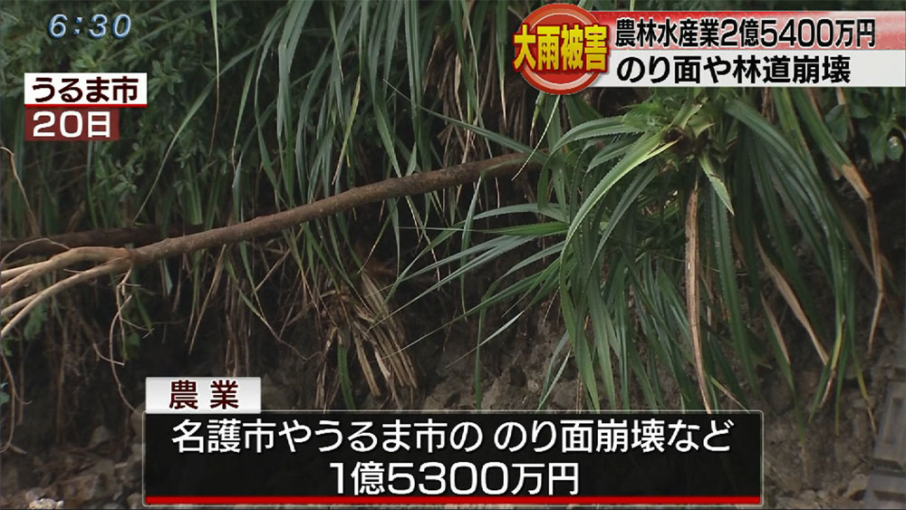 大雨による農林水産被害２億５４００万円