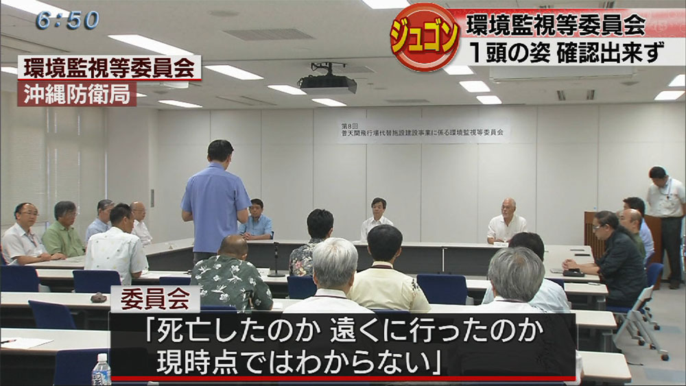 環境監視委　ジュゴン３頭のうち１頭姿なし