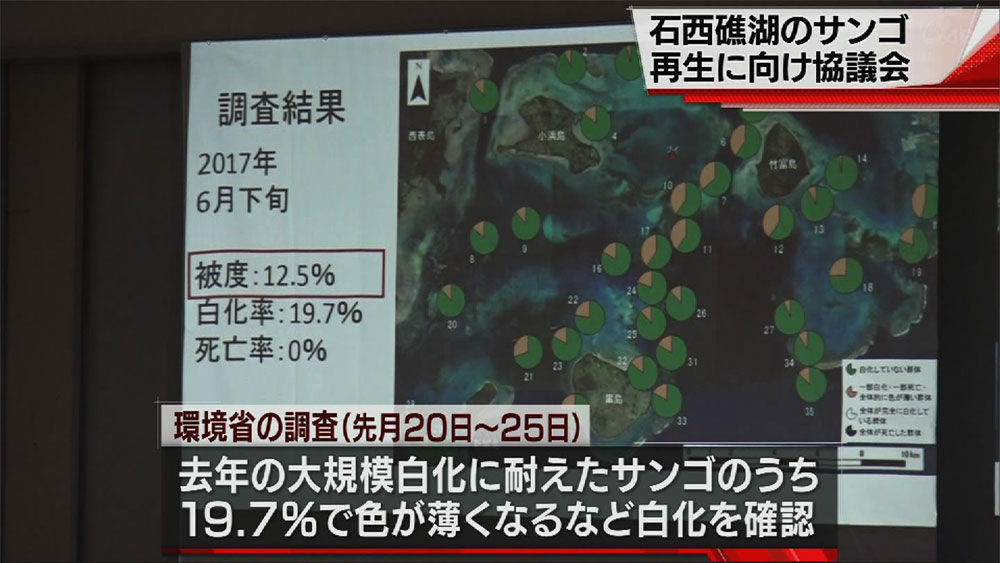 石西礁湖の再生に向け協議会