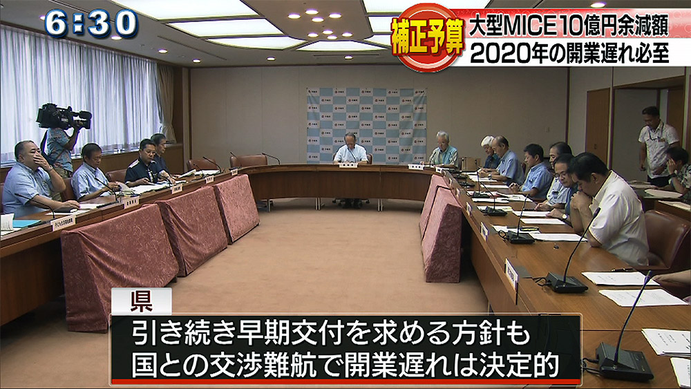 県が48億円の補正予算、MICEは減額補正