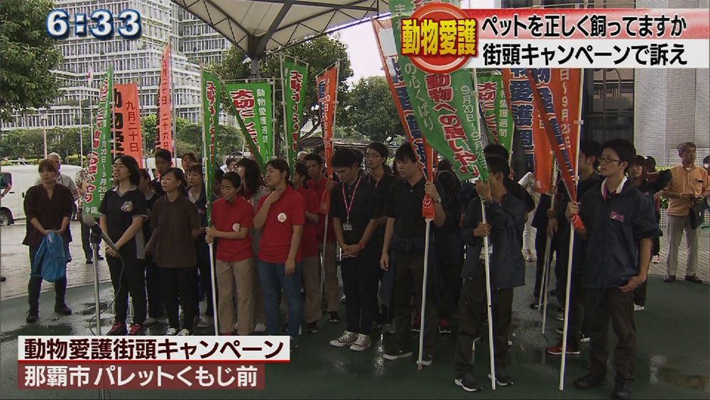 動物愛護週間始まる