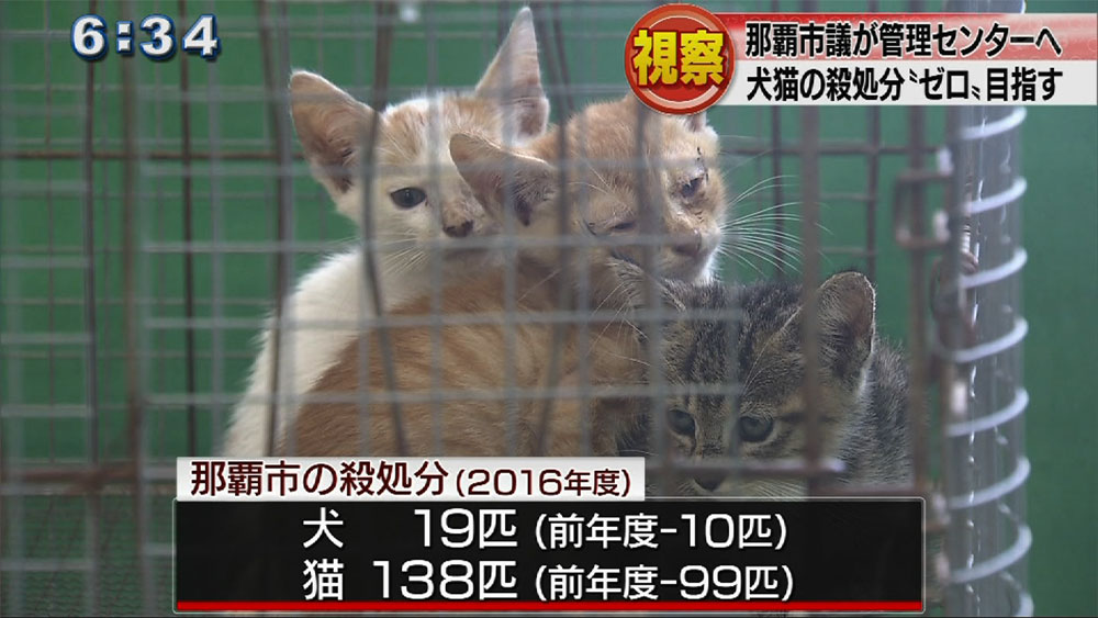 那覇市議団が動物愛護管理センターを視察