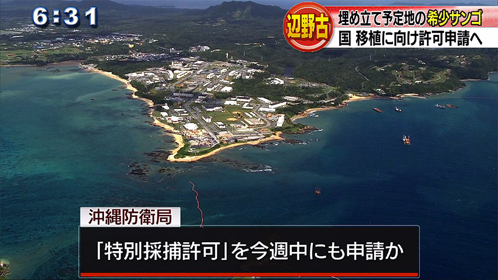 辺野古希少サンゴ 移植許可申請へ あす立入調査