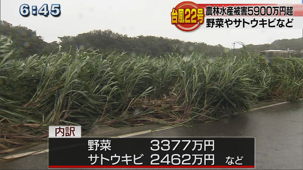 台風２２号農林水産被害５９００万円超