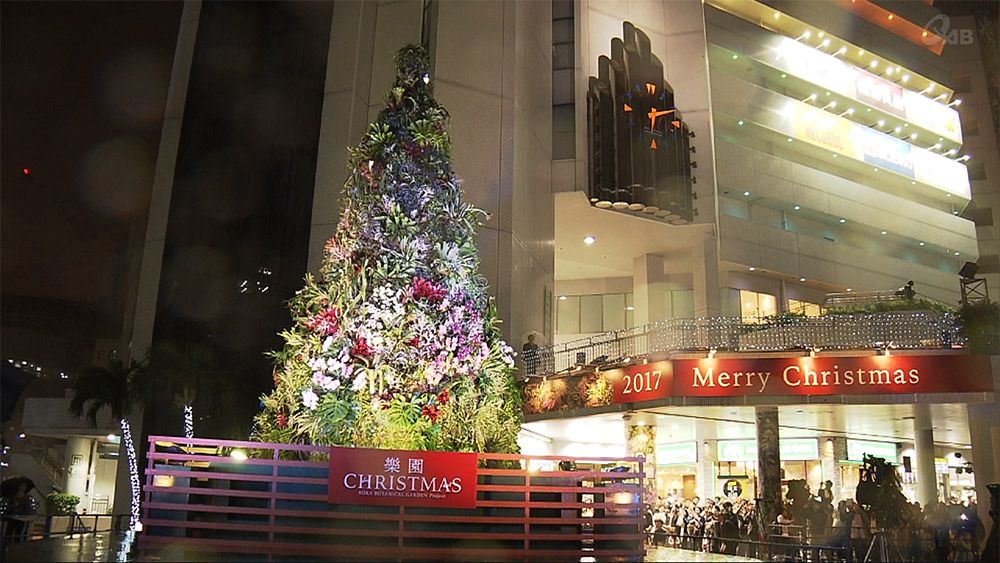 南国沖縄で「楽園クリスマス」を