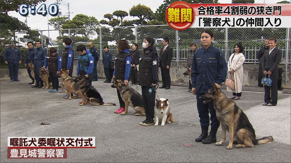 合格率は４割弱！嘱託犬に委嘱状