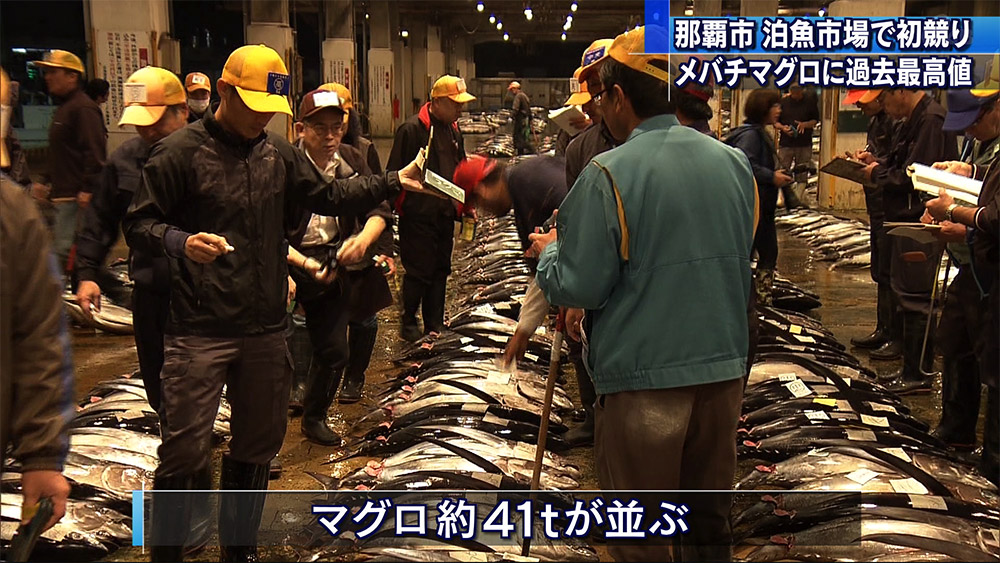 泊魚市場で初競り　過去最高のキロ７０００円