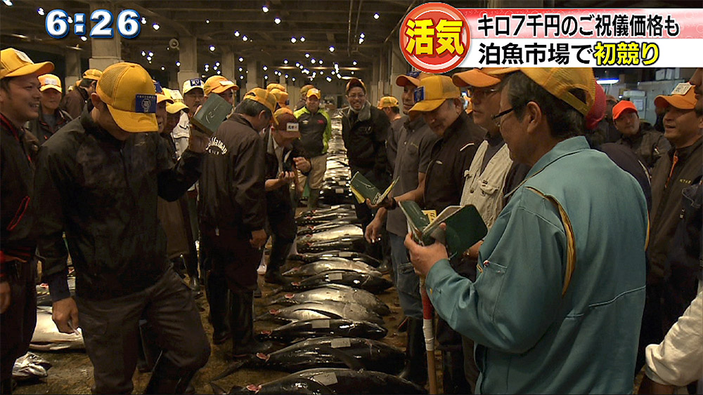 泊魚市場で初競り 過去最高のキロ7000円　