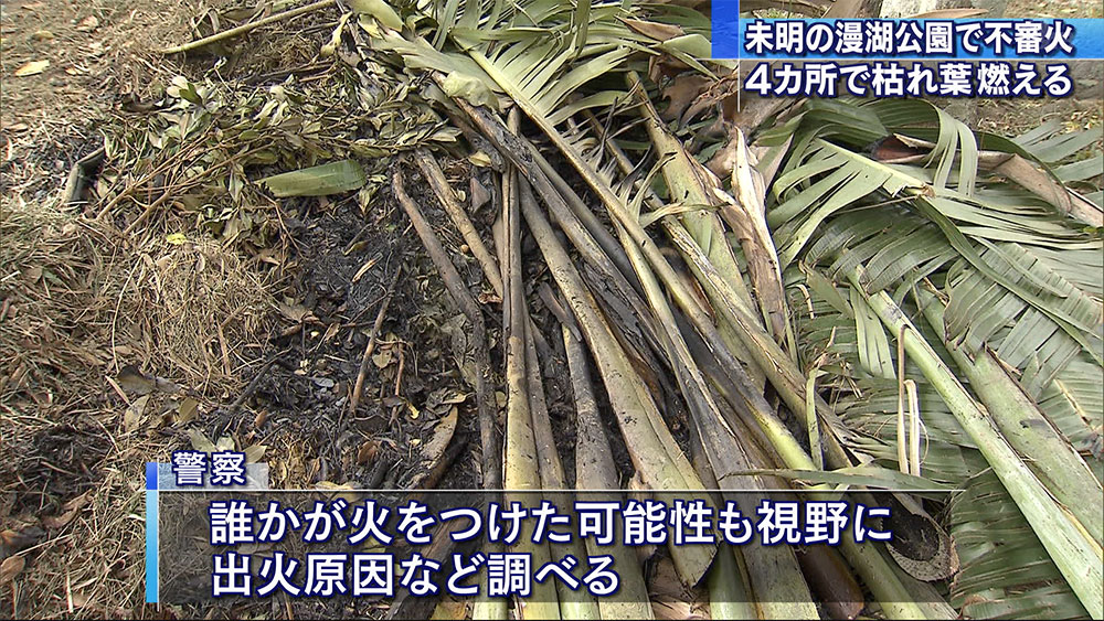 集めた枯れ葉４カ所で燃える不審火