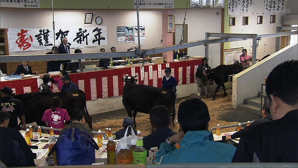 南部家畜市場で肉用牛初競り