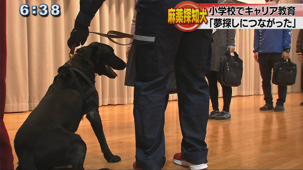 麻薬探知犬が小学校にやってきた