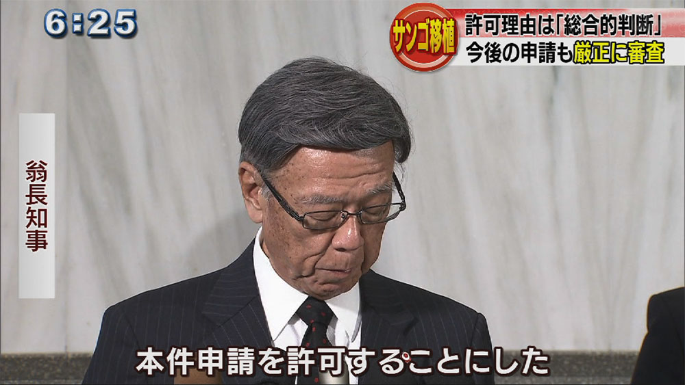 サンゴの移植許可　知事「総合的に判断した」