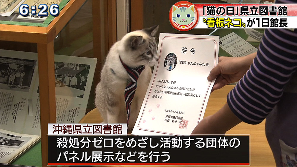 看板ネコが県立図書館の1日館長