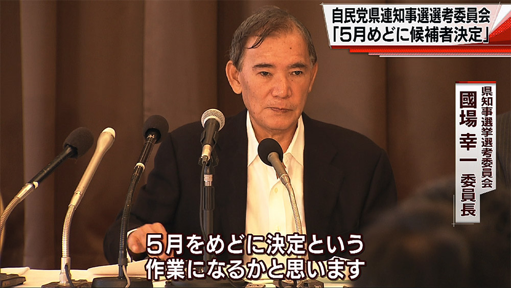 自民党県知事選挙選考委員会