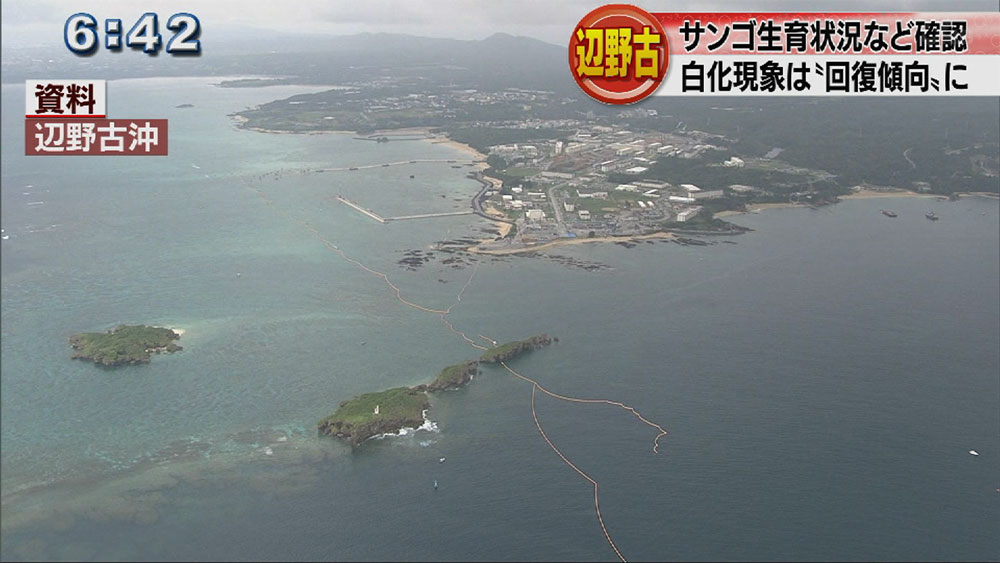 辺野古沖リーフチェック「良好な状態」