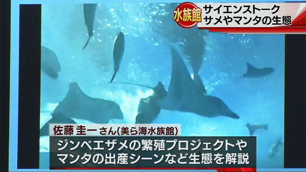 美ら島水族館でサメ博士がサイエンストーク