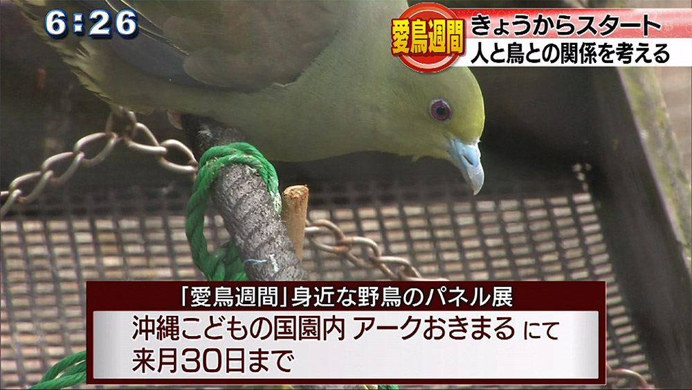 愛鳥週間に人と鳥との関係を考える