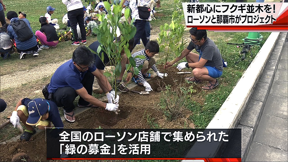 福を呼ぶ「フクギのさんぽ道」プロジェクト