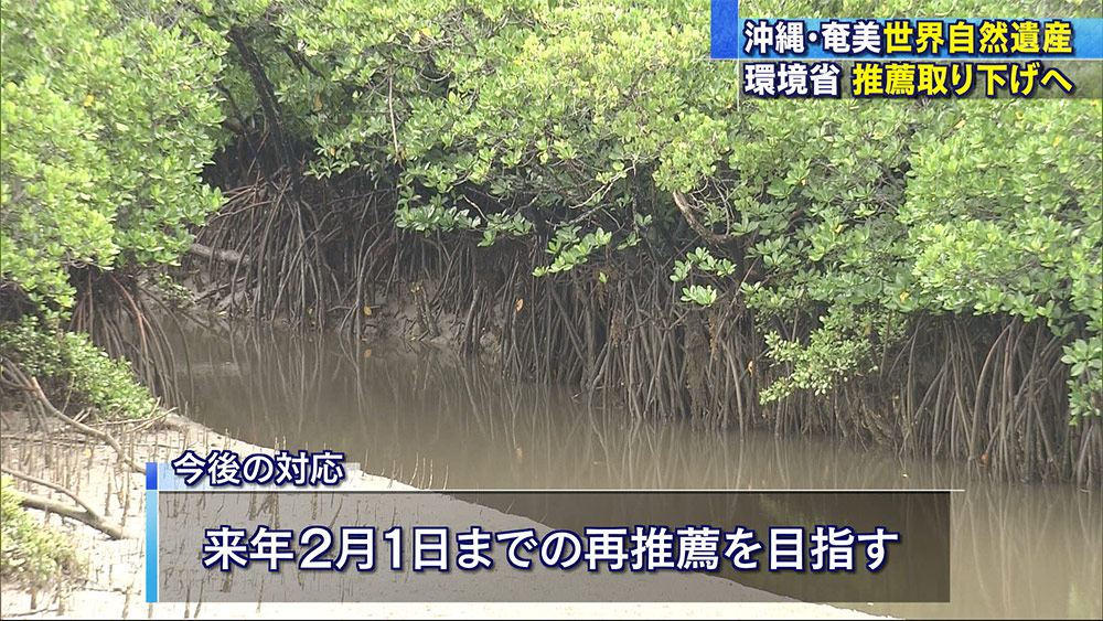 沖縄・奄美の世界自然遺産推薦取り下げ方針固める