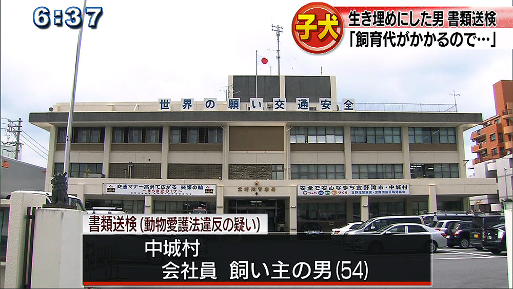 生まれたて子犬6匹を埋めた疑い 飼い主の男を摘発