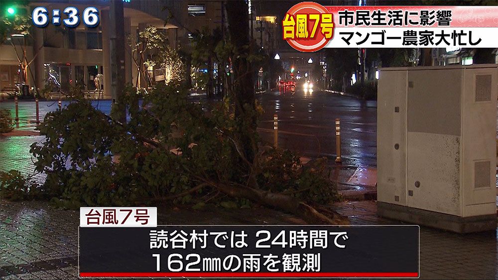 台風7号　思わぬ被害も