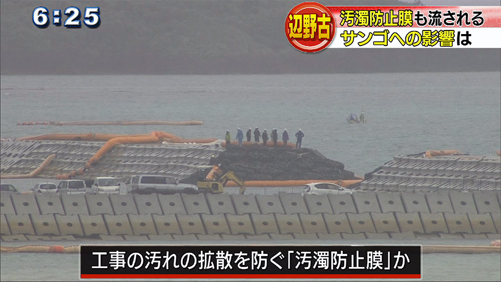 辺野古のサンゴに被害か フロートが打ち上げられる