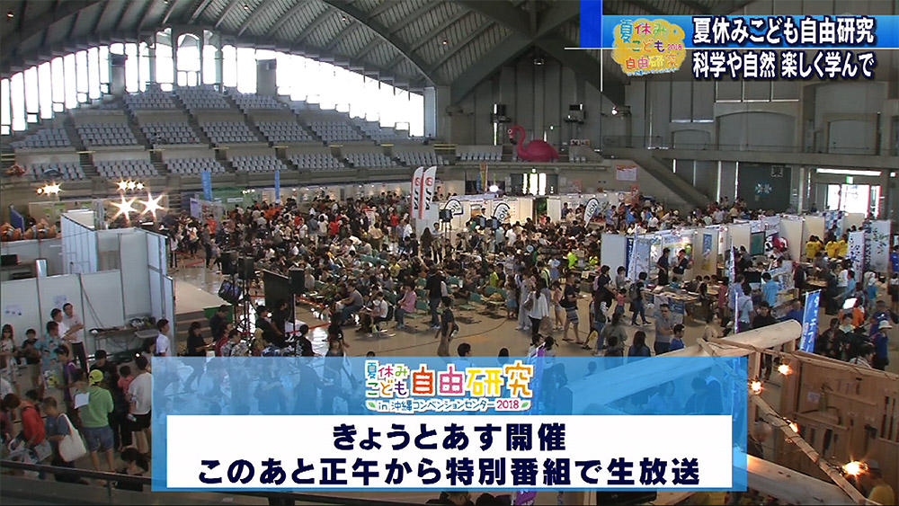 「夏休みこども自由研究」始まる
