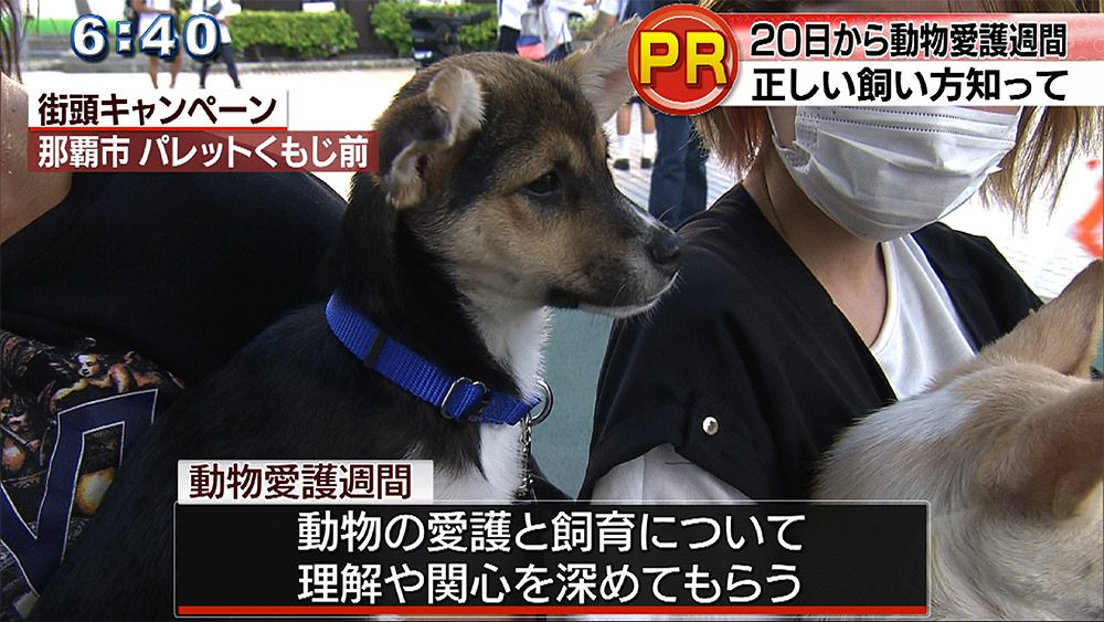 動物愛護週間 街頭キャンペーン