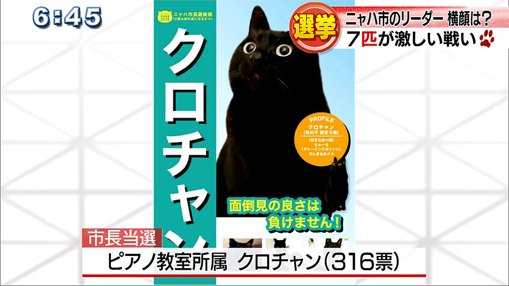 ニャハ市長選挙　リーダーは？