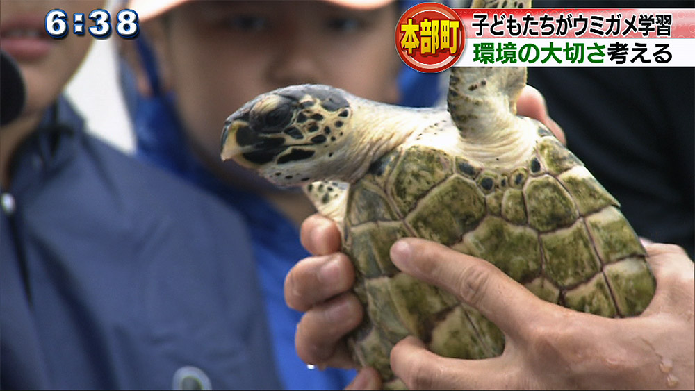 本部町 小さな命から環境学ぶ