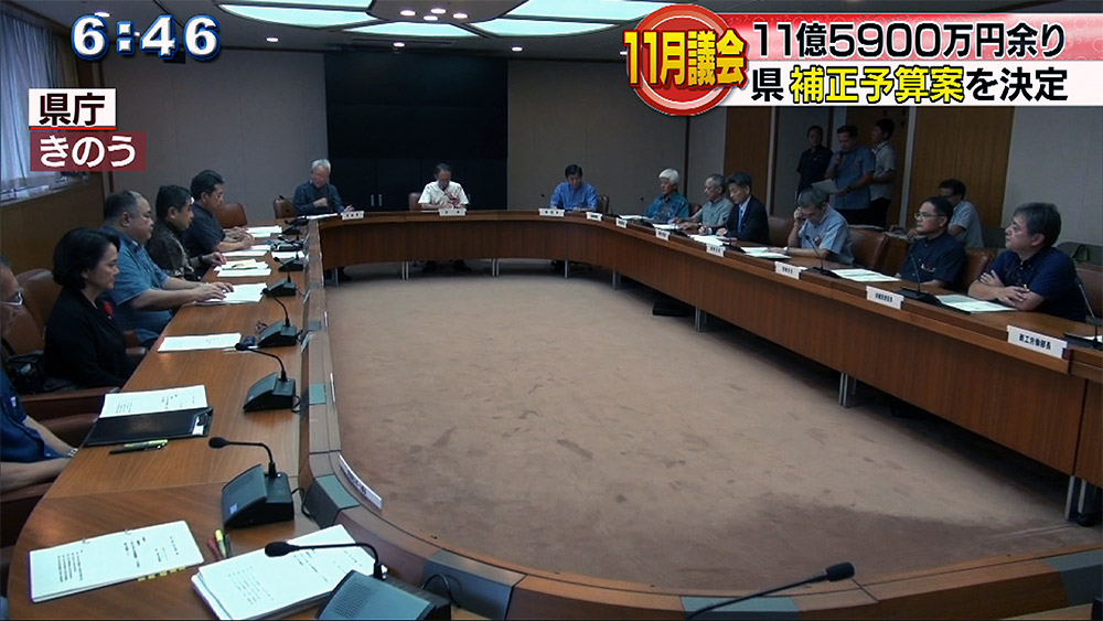 県が11億5千万余の補正予算案決定