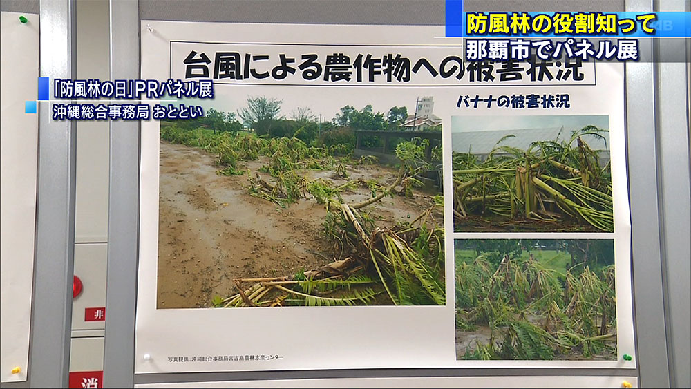 日本の気象災害の一覧