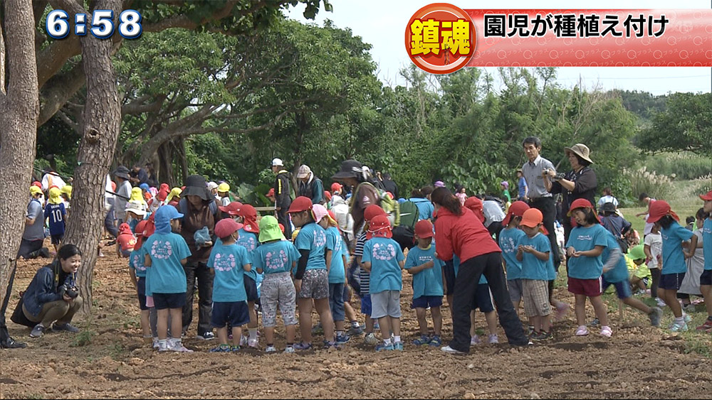 ヒマワリ畑の迷路づくりで園児らが種を受け付け