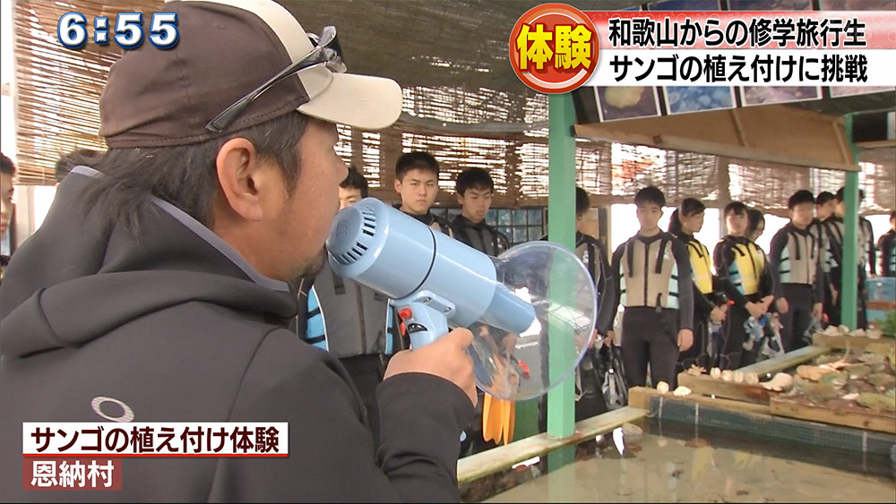 修学旅行生がサンゴの植え付け体験