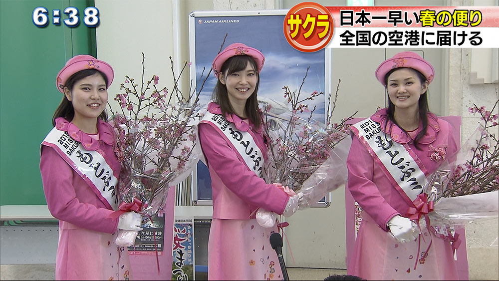 日本一早い桜を全国へ！　ＪＡＬグループ発送式